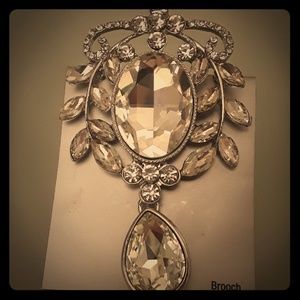 Women's Ornate crystal brooch